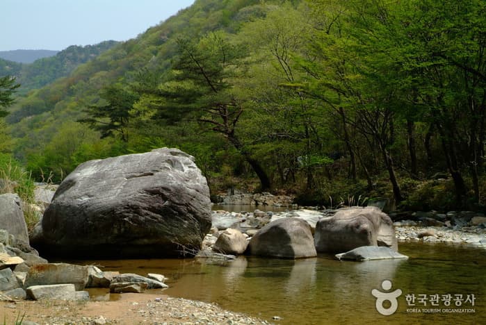 동상운장산계곡_02