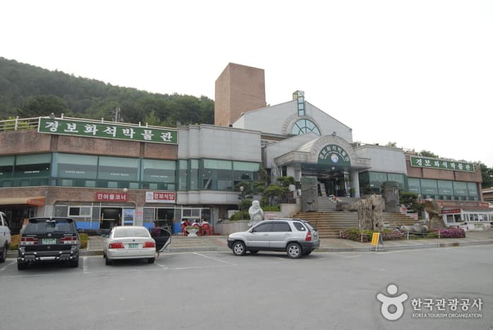 京辅化石博物馆(경보화석박물관)