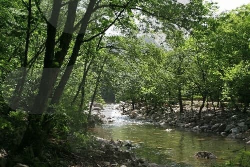 석산계곡_01
