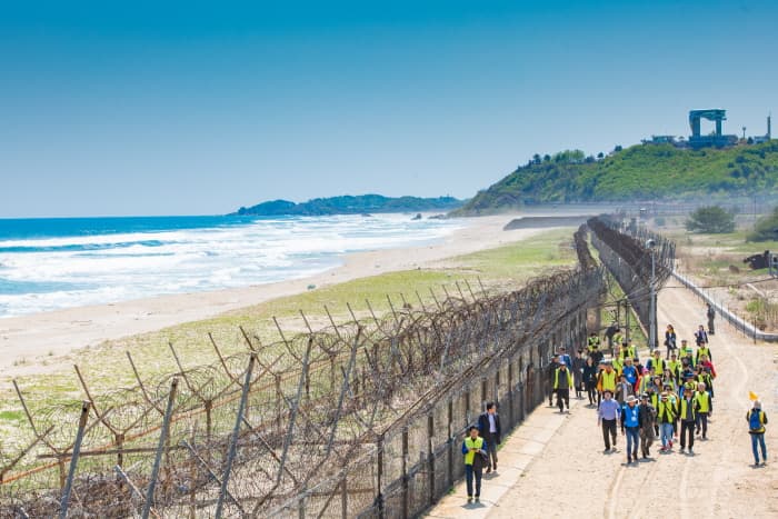 DMZ Peace Trail (Goseong A/B Course) (DMZ 평화의 길(고성 A/B코스))