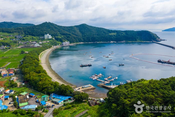 南海勿巾防潮鱼付林남해 물건리 방조어부림