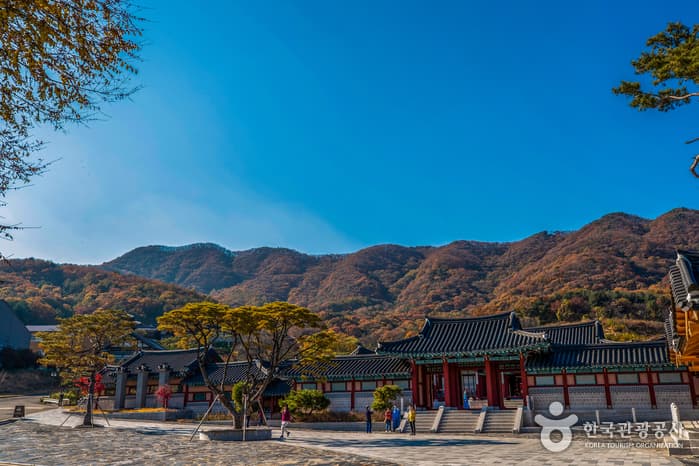 용인 대장금 파크