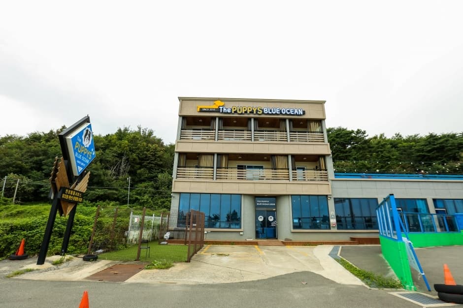 더퍼피즈블루오션