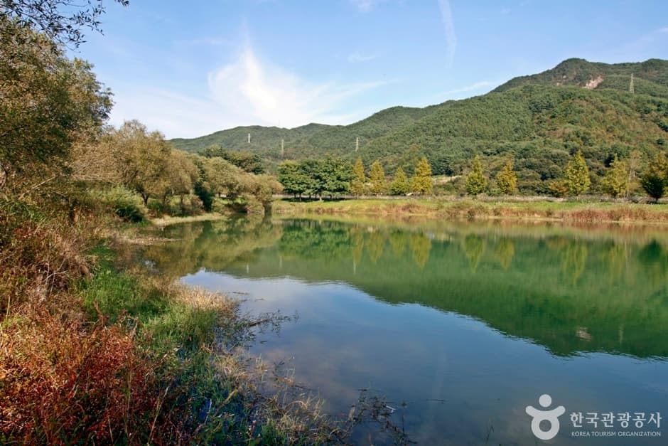 주천생태공원