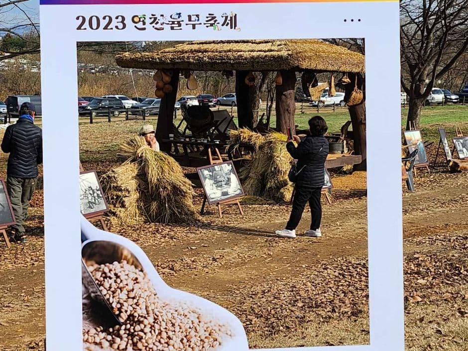 연천율무축제