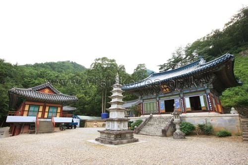 금강송과 동굴을 찾아가는 자연주의 여행