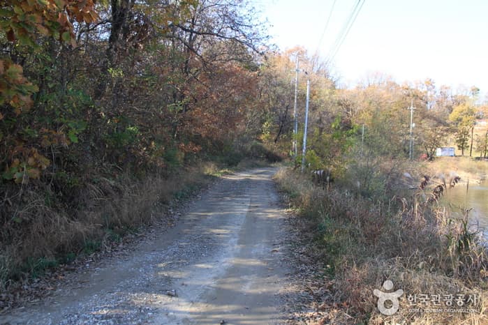 [Ganghwa Nadeul-gil Course 3] Royal Tomb Trail ([강화 나들길 제3코스] 고려왕릉 가는 길)
