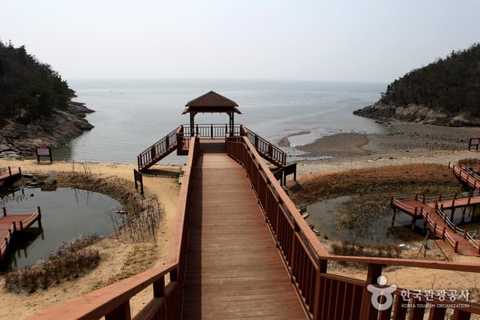 전북_부안_국립변산자연휴양림04