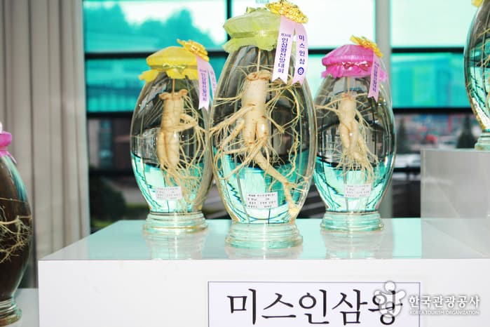충남_금산인삼관03