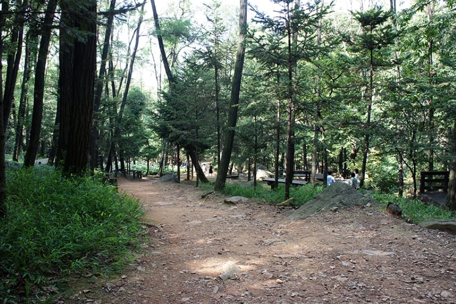 경기도_광명시_구름산산림욕장_길