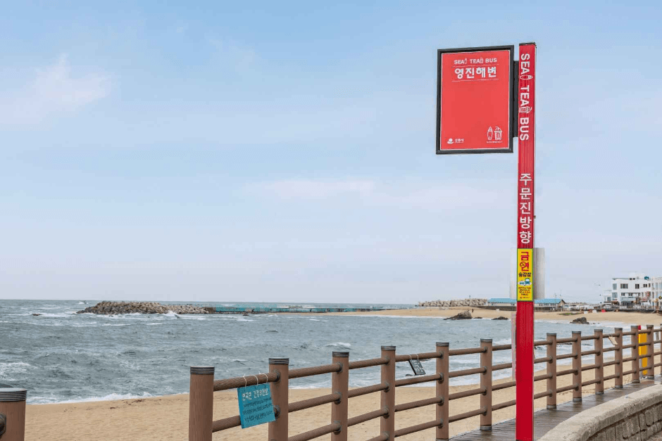 영진해변 (3)