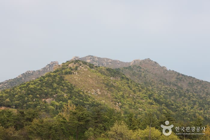 경상남도_남해군_남해 금산_094