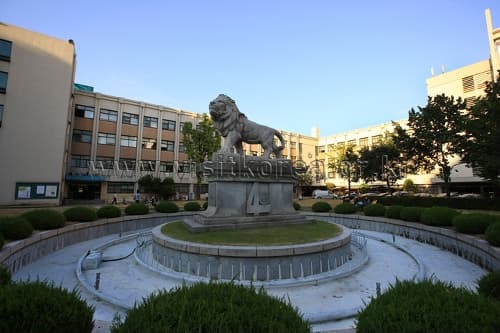 庆熙大学国际教育院(경희대학교 국제교육원)