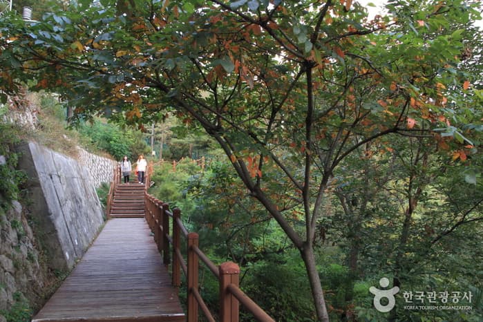 한양도성 안 궁궐과 학교이야기