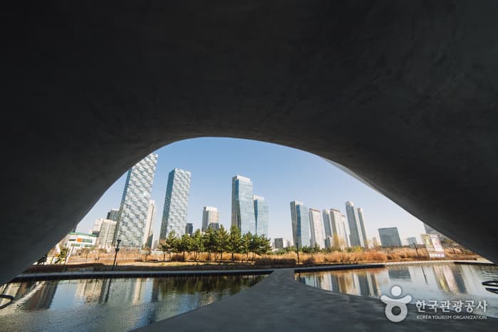 트라이볼(2)