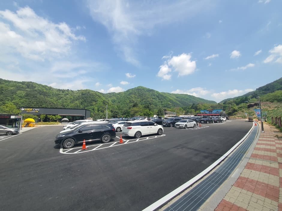 횡성루지체험장5