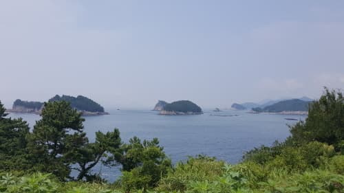 鸟岛（조도）