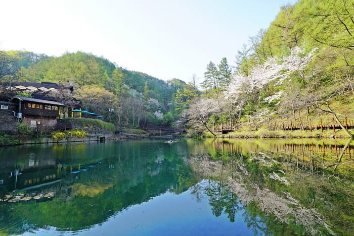 만인산 자연휴양림_3