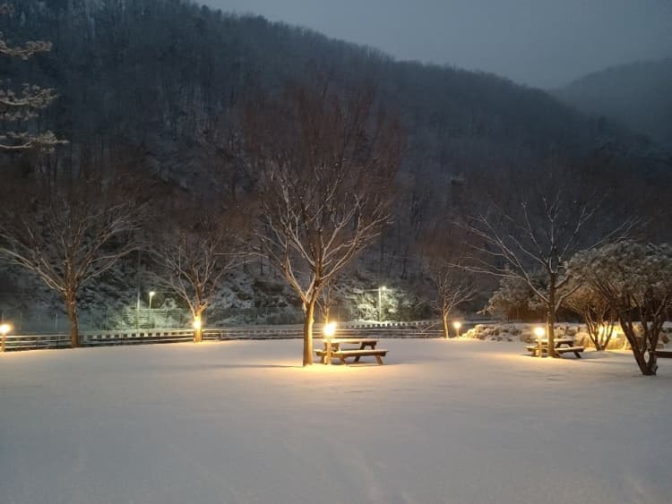 수입리캠핑장