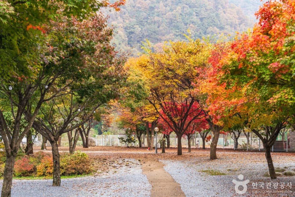 월악오토캠핑장