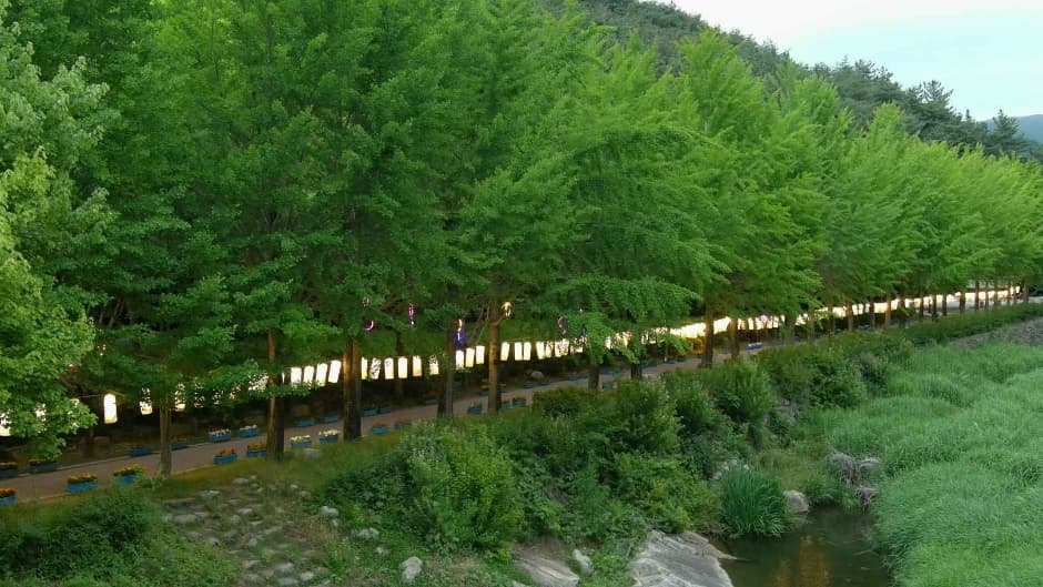 Gimje Moaksan Music Festival (김제 모악산 뮤직페스티벌)