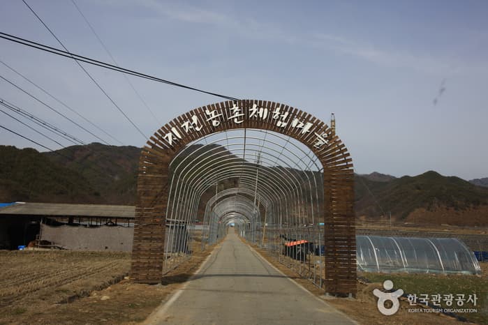 지전마을 돌담길_01