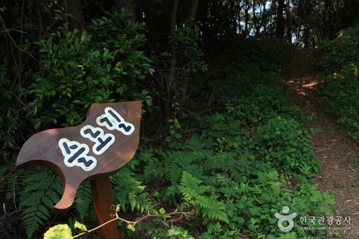 청산도항도79