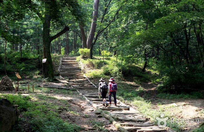 Baeksasilgyegok Valley (백사실계곡)
