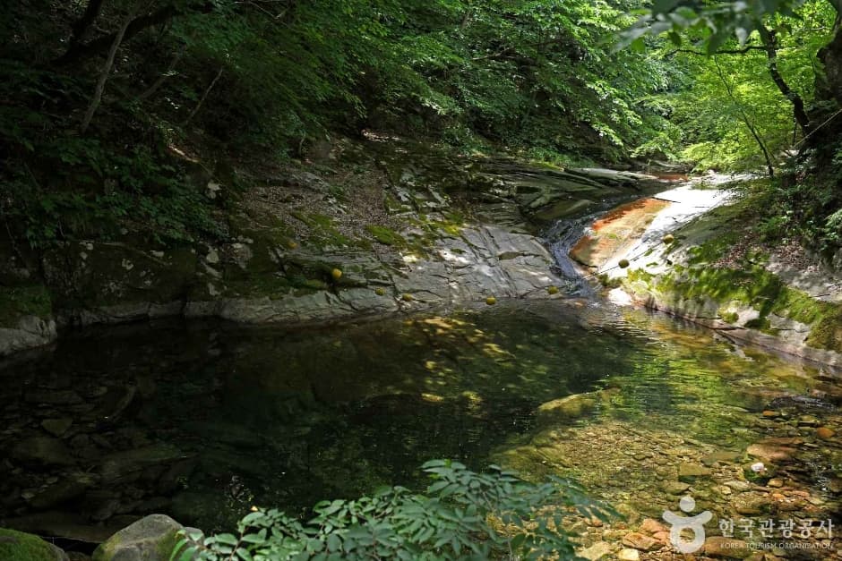 东鹤寺溪谷 (동학사계곡)