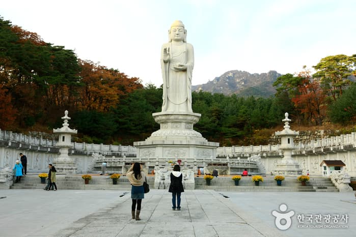 동화사 통일약사여래대불_1