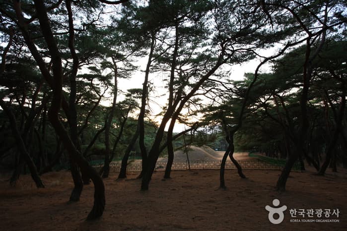 배리삼릉_11