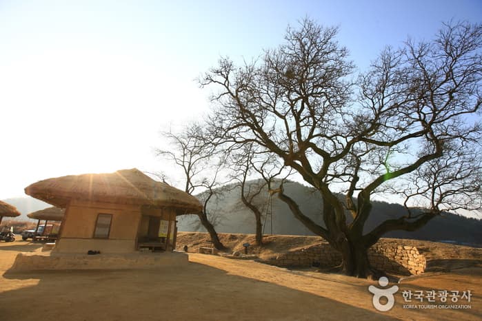 내성천 물길이 만들어내는 아름다운 풍경을 만나다