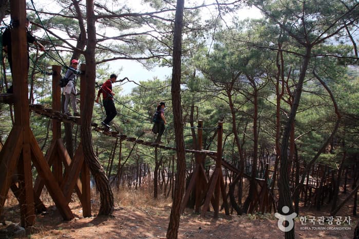 충북_괴산_산막이옛길 걷기01