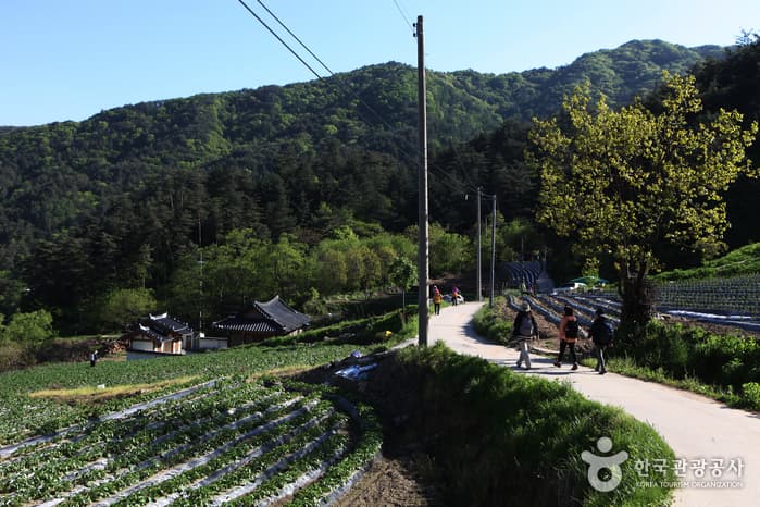 전북_남원_지리산둘레길_인월~금계19