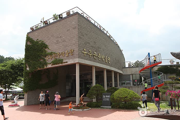 전북_무주_반딧불이 있는 청정 무주 생태여행06