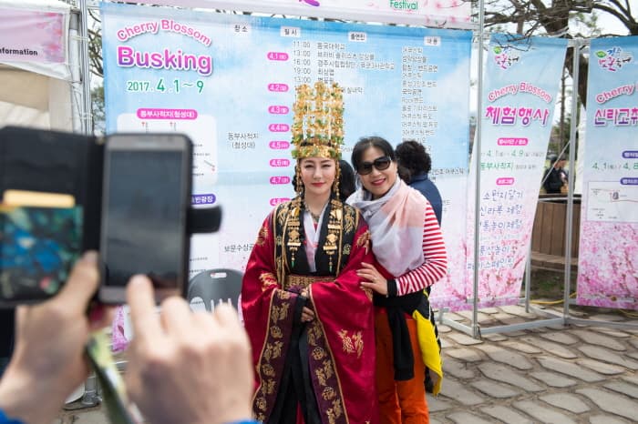 庆州樱花节 경주벚꽃축제