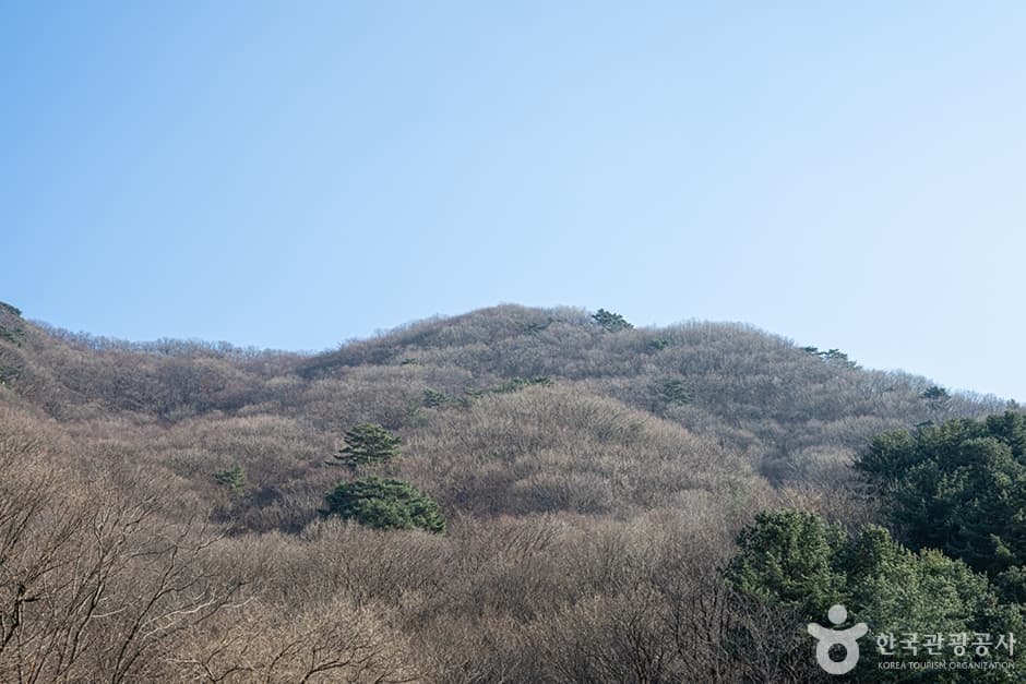 祝灵山（축령산）