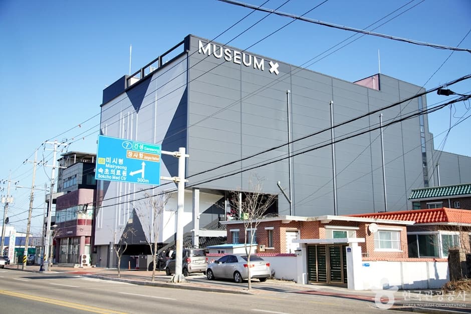 뮤지엄엑스 (14)