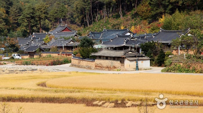 금계포란형, 닭실마을의 풍수지리를 들여다 보자!