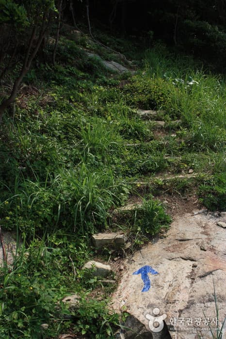 청산도항도80