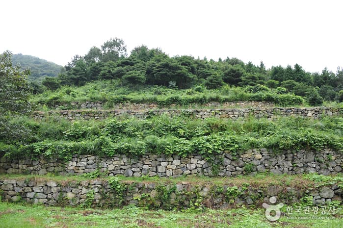 용장산성