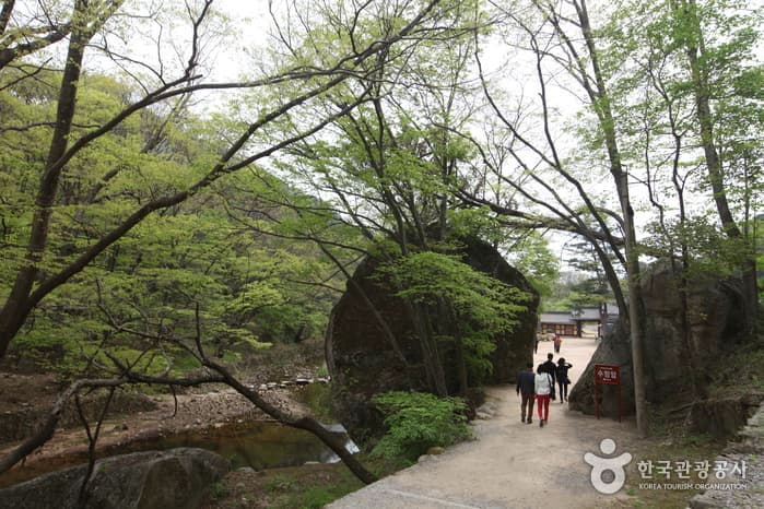 충북_보은_속리산법주사41