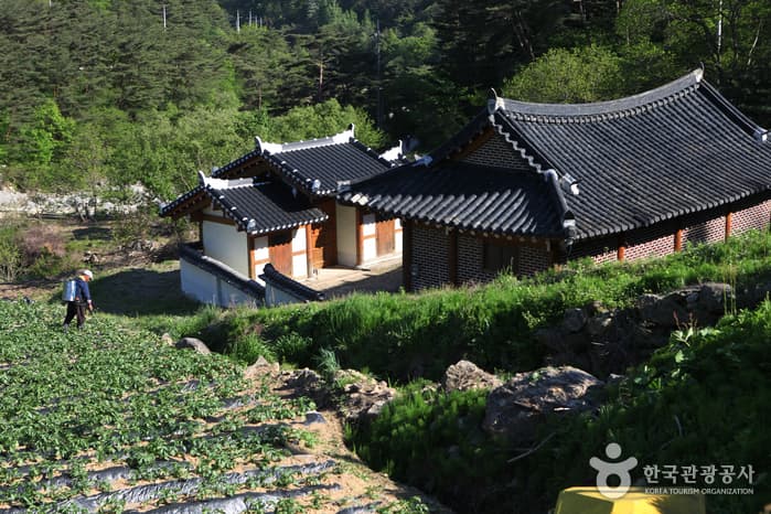 전북_남원_지리산둘레길_인월~금계20