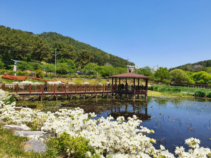 부산울산지사_3_1_선암호수공원