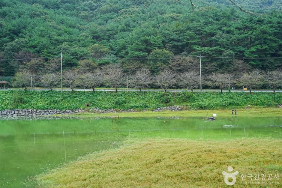 고남 저수지