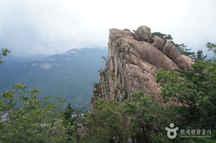 강원도_속초시_설악산 케이블카(49)