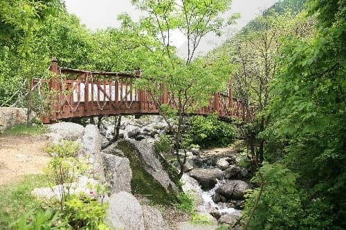 남양주 친환경 순례