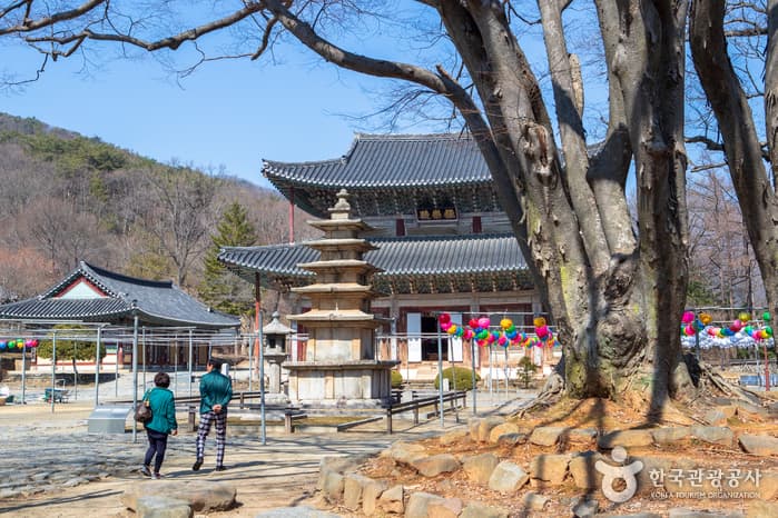 부여 무량사