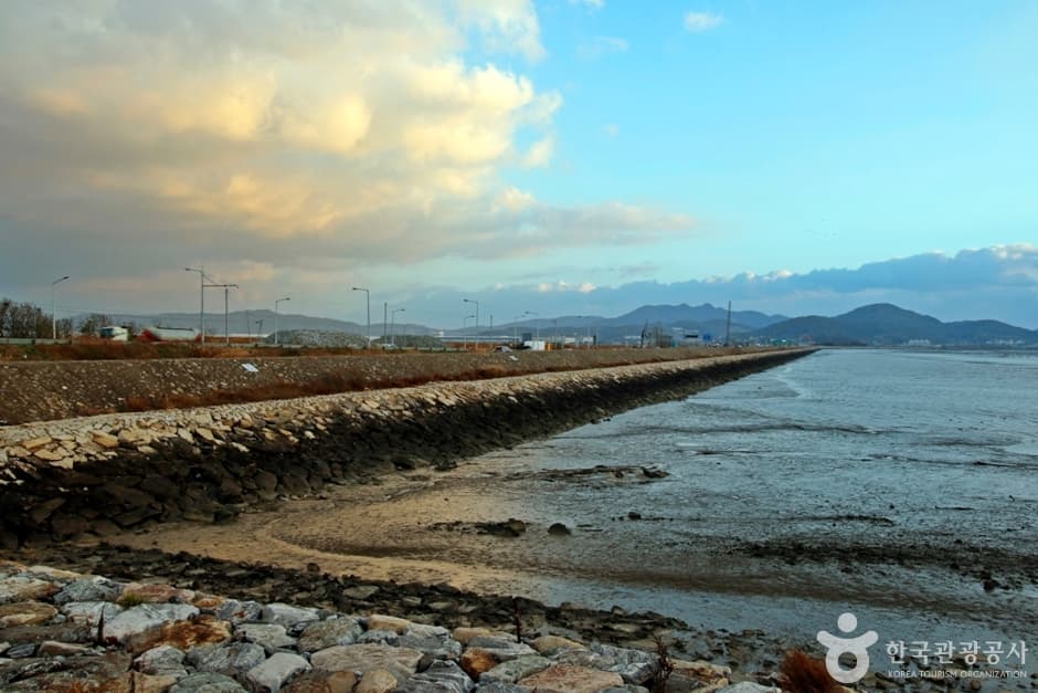 아산만방조제 (10)