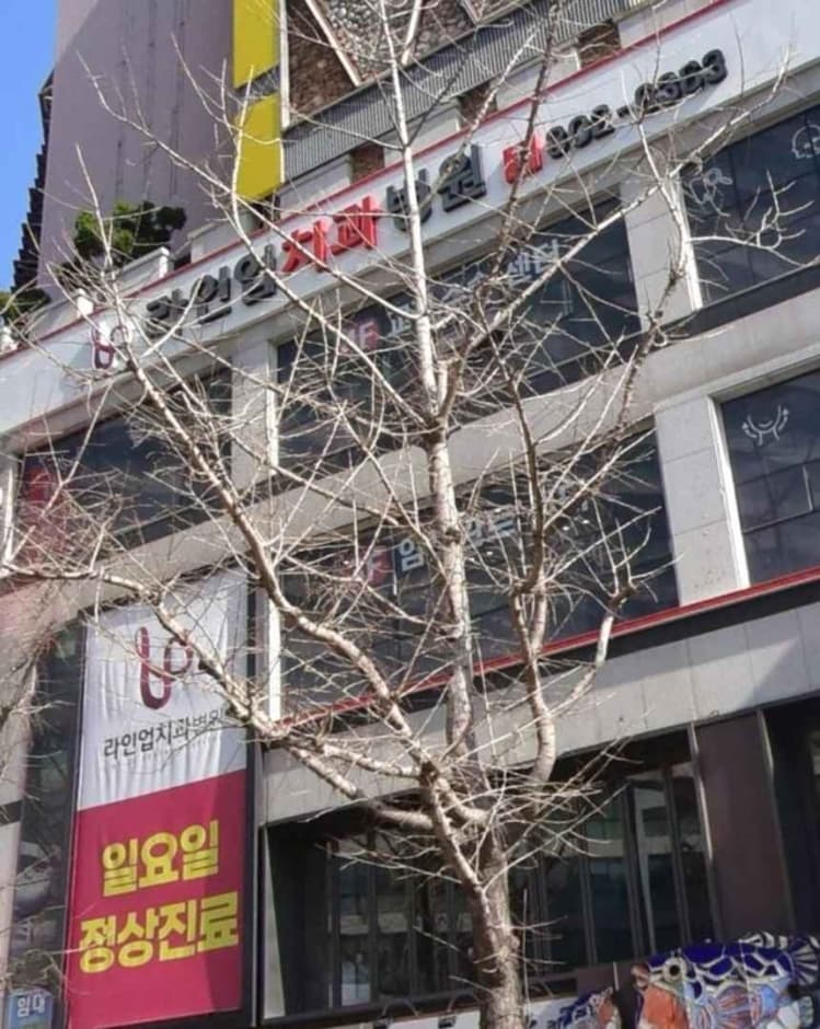 라인업치과병원